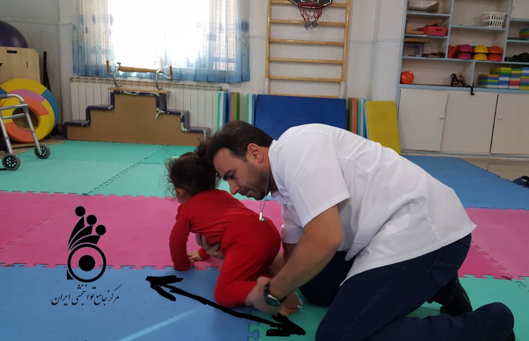 کاردرمانی چهار دست و پا