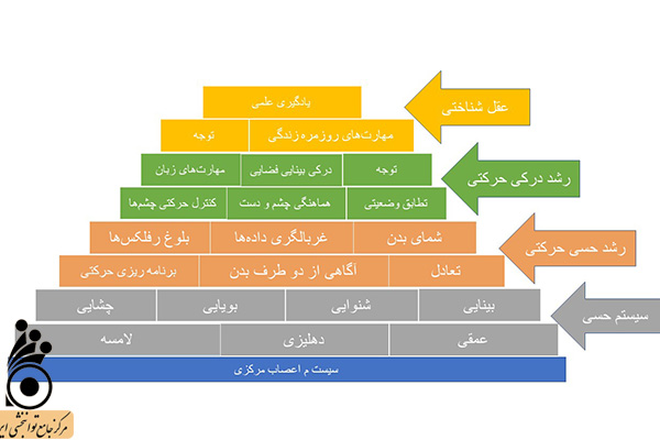 هرم یکپارچگی حسی هرم یکپارچگی حسی